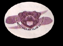 Club Logo